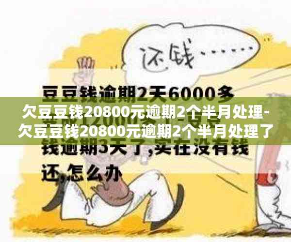 欠豆豆钱20800元逾期2个半月处理-欠豆豆钱20800元逾期2个半月处理了吗