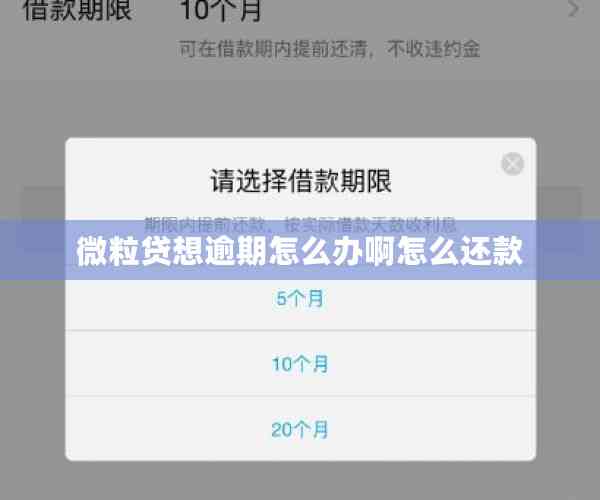 微粒贷想逾期怎么办啊怎么还款