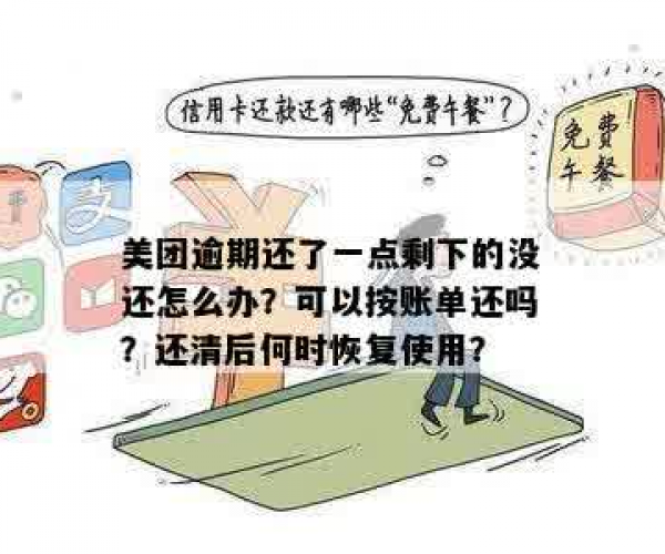 美团逾期还清需一次性还清吗？