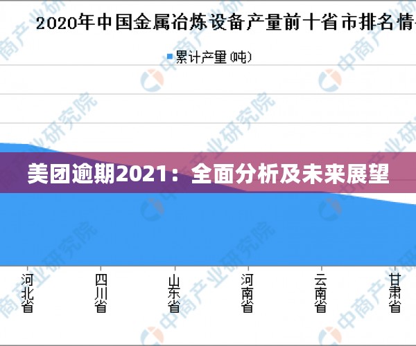 美团逾期2021：全面分析及未来展望