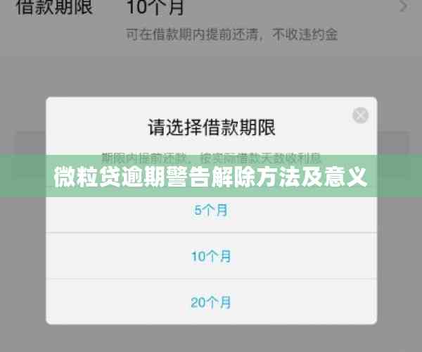 微粒贷逾期警告解除方法及意义