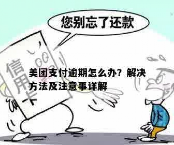 美团逾期十天后还可以吗：期支付相关政策解读