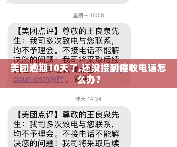 美团逾期10天了,还没接到催收电话怎么办？