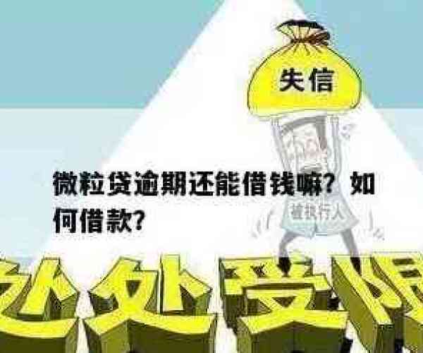 微粒贷逾期打折还款是真的吗，安全吗？