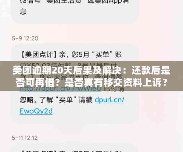 美团逾期20天后果及解决：还款后是否可再借？是否真有移交资料上诉？