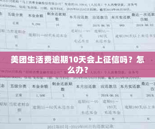 美团生活费逾期10天会上征信吗？怎么办？