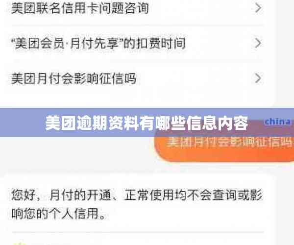 美团逾期资料有哪些信息内容