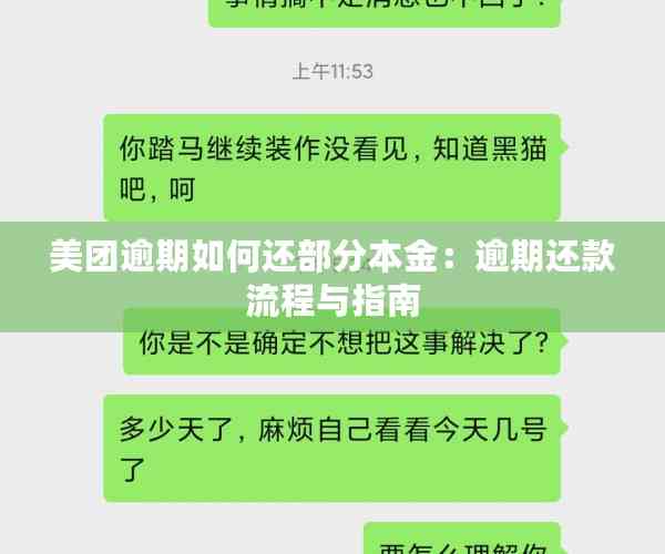 美团逾期如何还部分本金：逾期还款流程与指南