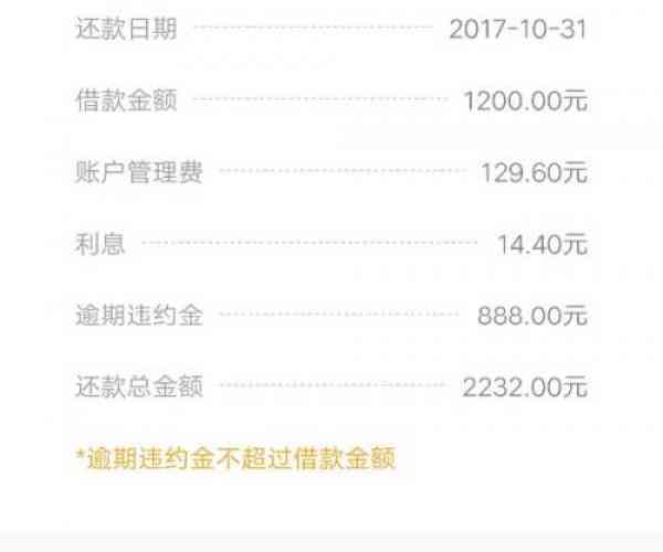 美团逾期如何还部分本金：逾期还款流程与指南