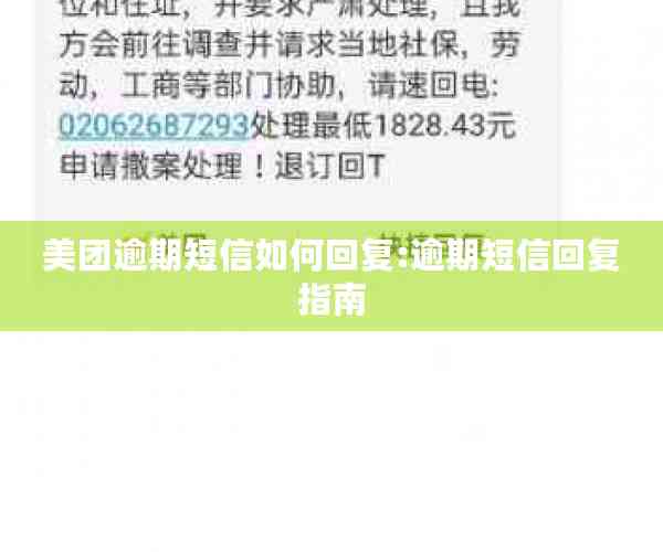 美团逾期短信如何回复:逾期短信回复指南