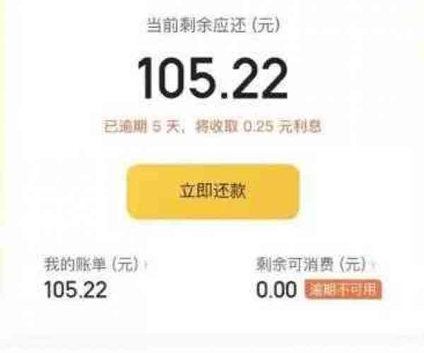 美团最几天还款：还款截止日查询与逾期还款说明