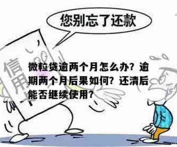 微粒贷逾期两期能先还一期吗：逾期2天、一次性还清后还能借吗？