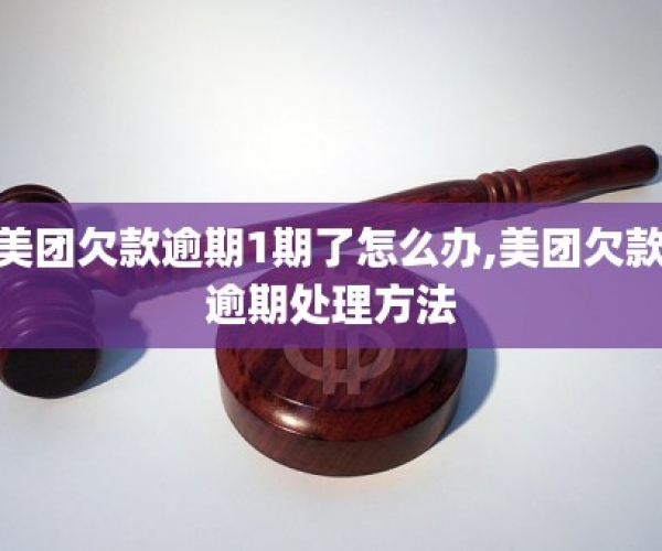 美团欠钱逾期怎么办啊怎么处理？美团逾期欠款处理方法详解