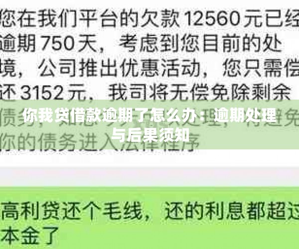 你我贷借款逾期了怎么办：逾期处理与后果须知