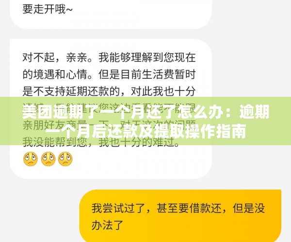 美团逾期了一个月还了怎么办：逾期一个月后还款及提取操作指南