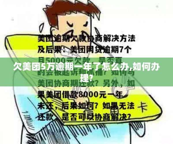 欠美团5万逾期一年了怎么办,如何办理?