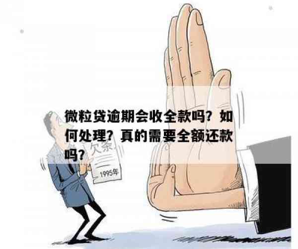 微粒贷逾期会被要求全额还款吗？逾期处理及还款策略详解