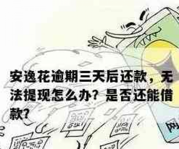 安逸花逾期还能借吗：逾期几天还进去后能否借款？