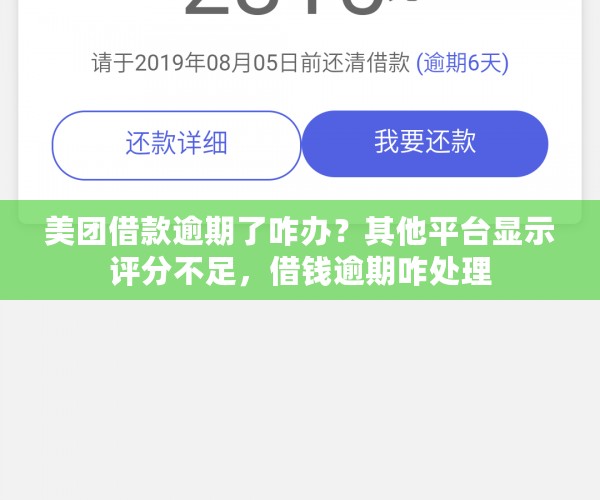 美团借款逾期了咋办？其他平台显示评分不足，借钱逾期咋处理