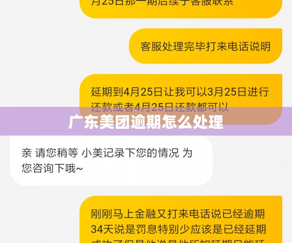 广东美团逾期怎么处理