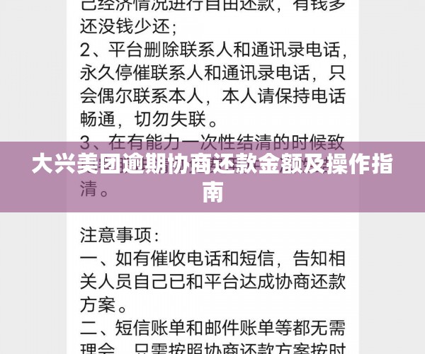 大兴美团逾期协商还款金额及操作指南