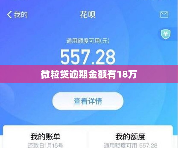 微粒贷逾期金额有18万