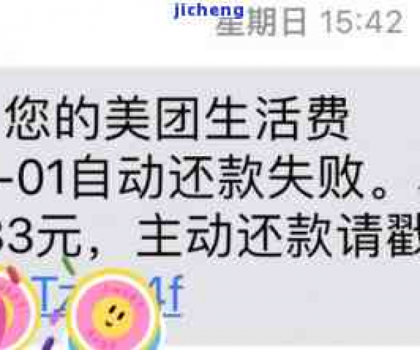 美团生活费逾期减免后还款：公对公转账吗？