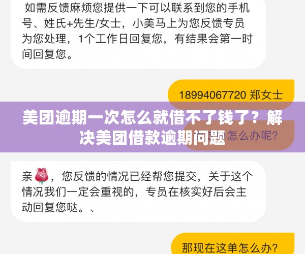 美团逾期一次怎么就借不了钱了？解决美团借款逾期问题