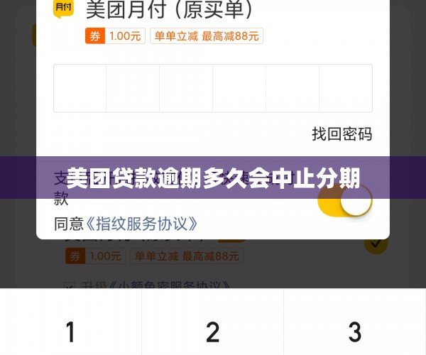 美团贷款逾期多久会中止分期