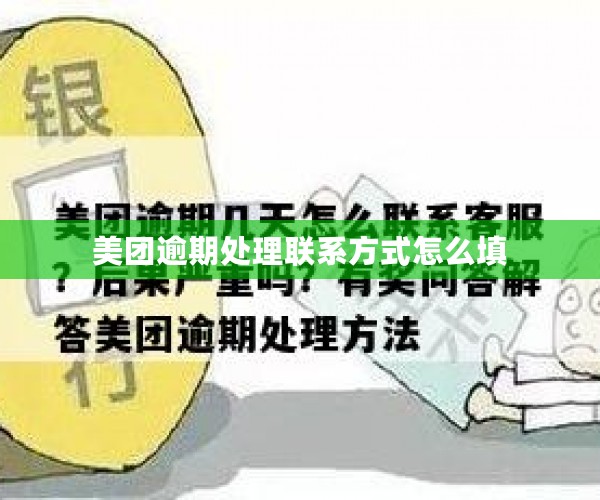 美团逾期处理联系方式怎么填