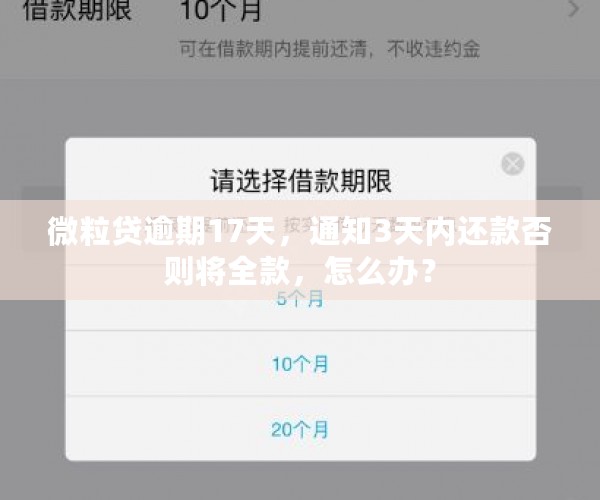 微粒贷逾期17天，通知3天内还款否则将全款，怎么办？