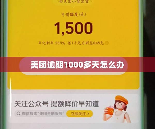 美团逾期1000多天怎么办