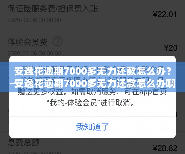 安逸花逾期7000多无力还款怎么办？-安逸花逾期7000多无力还款怎么办啊