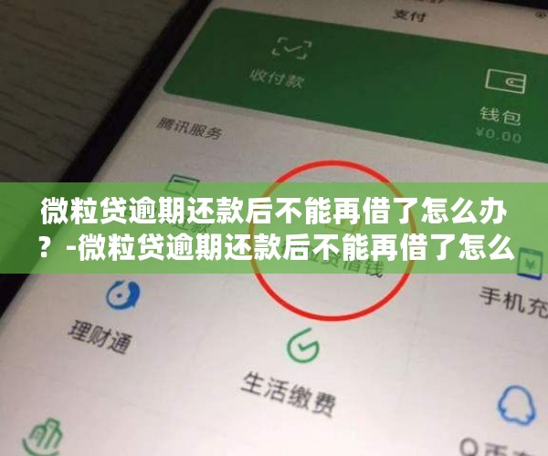 微粒贷逾期还款后不能再借了怎么办？-微粒贷逾期还款后不能再借了怎么办呢