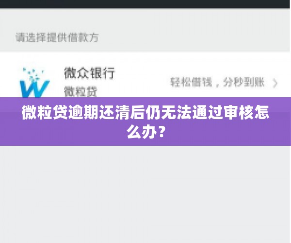 微粒贷逾期还清后仍无法通过审核怎么办？