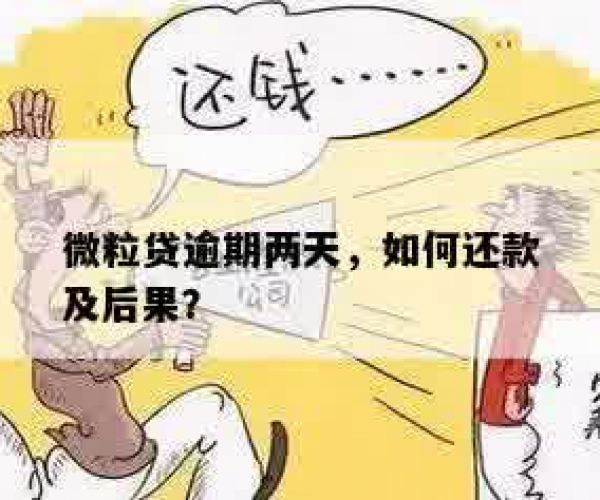 微粒贷逾期两天后还款后还能再次借款吗？