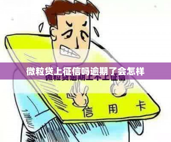 微粒贷上征信吗逾期了会怎样