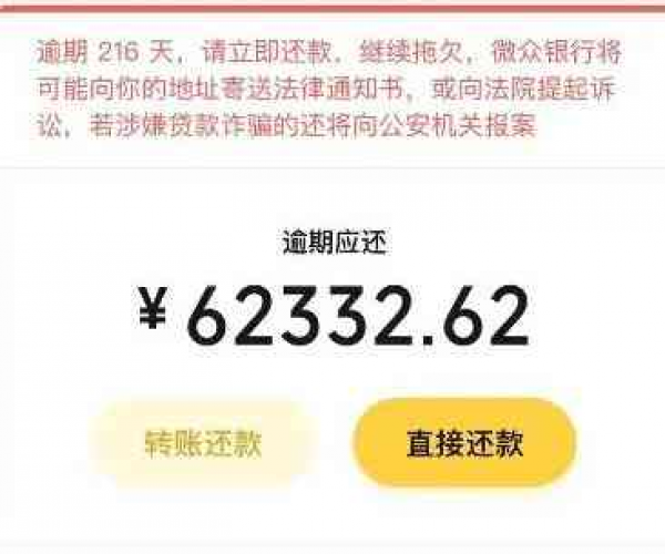 微粒贷2万逾期7个月会怎样呢：6个月逾期情况分析