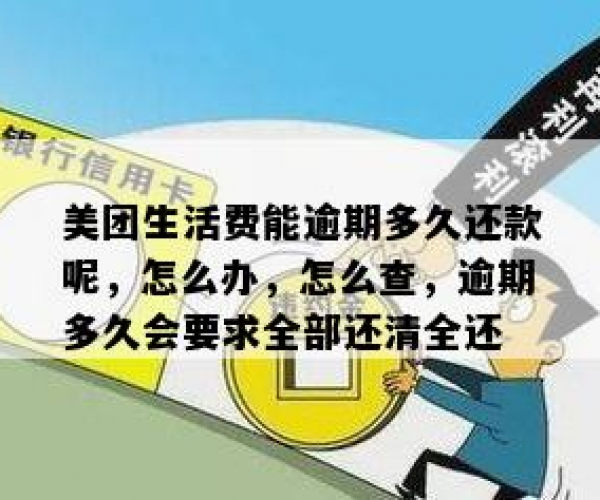 美团逾期两个月内还清可以吗