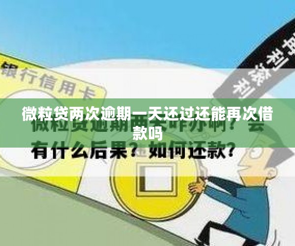 微粒贷两次逾期一天还过还能再次借款吗