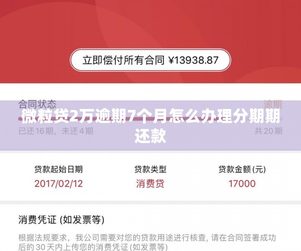 微粒贷2万逾期7个月怎么办理分期期还款