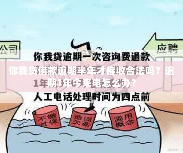 你我贷借款逾期半年才催收合法吗？逾期1年今来电怎么办？