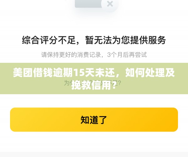 美团借钱逾期15天未还，如何处理及挽救信用？