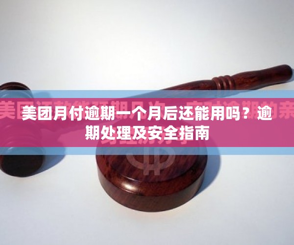 美团月付逾期一个月后还能用吗？逾期处理及安全指南