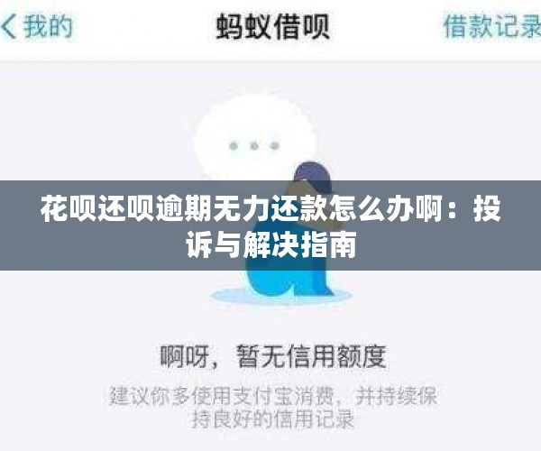 花呗还呗逾期无力还款怎么办啊：投诉与解决指南