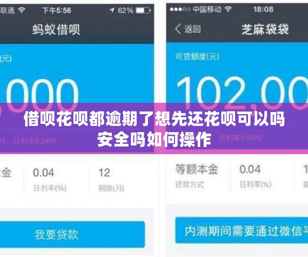 借呗花呗都逾期了想先还花呗可以吗安全吗如何操作