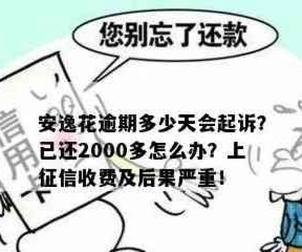 安逸花逾期多少天会起诉,我已经还了2000多怎么办？