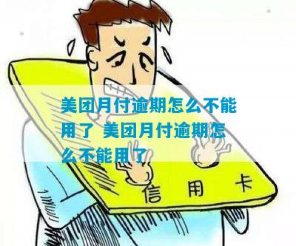 美团月付未逾期却无法使用，怎么办？