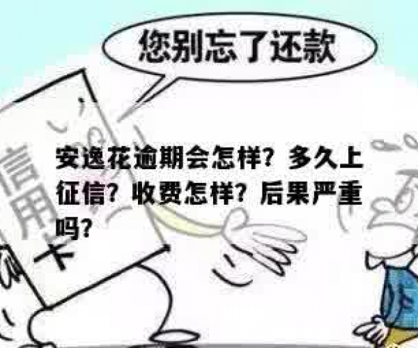 安逸花逾期多久抓人上征信,催收,多严重？收费如何？