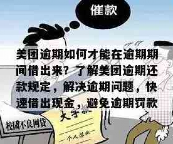 美团没逾期却用不了怎么办？寻求解决办法